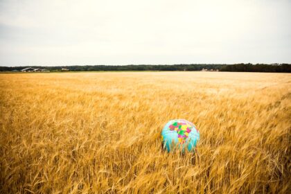 inovacije u ruralnim područjima