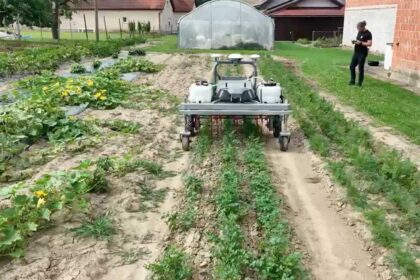 demo farma