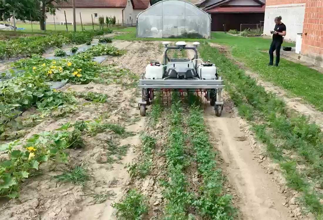demo farma
