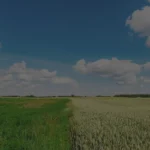 Kako digitalna poljoprivreda donosi dugoročne koristi farmerima i planeti