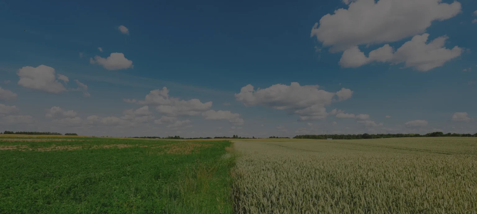 Kako digitalna poljoprivreda donosi dugoročne koristi farmerima i planeti