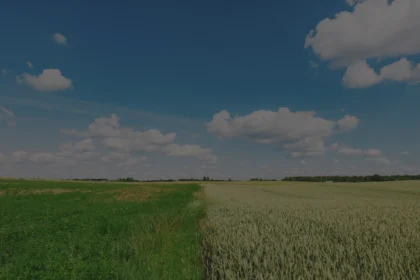 Kako digitalna poljoprivreda donosi dugoročne koristi farmerima i planeti