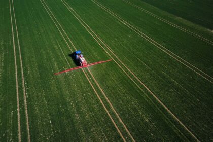Podmlađivanje ruralnih područja