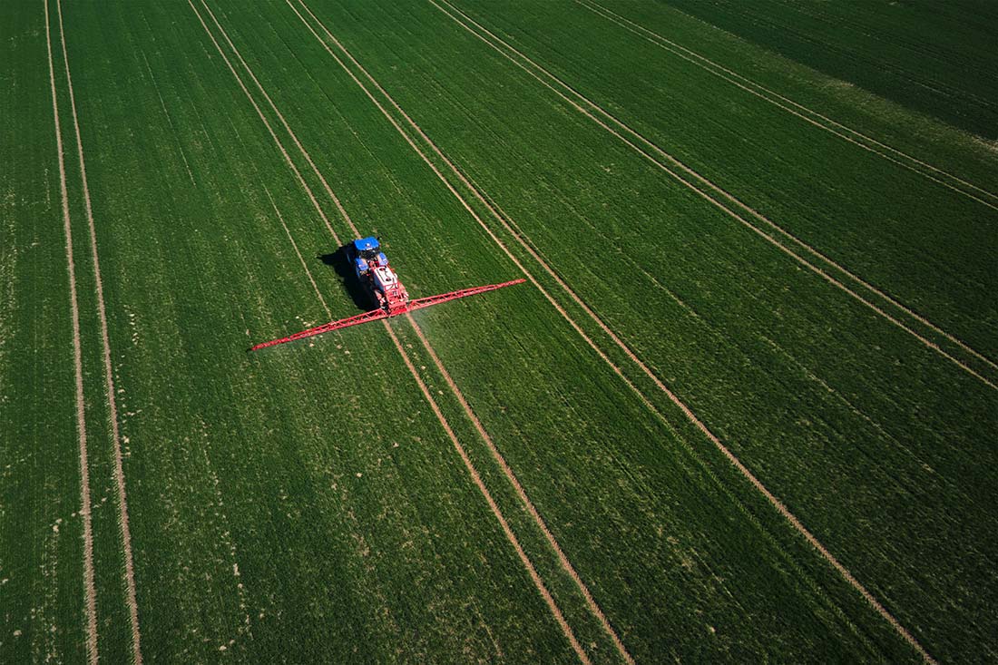 Podmlađivanje ruralnih područja