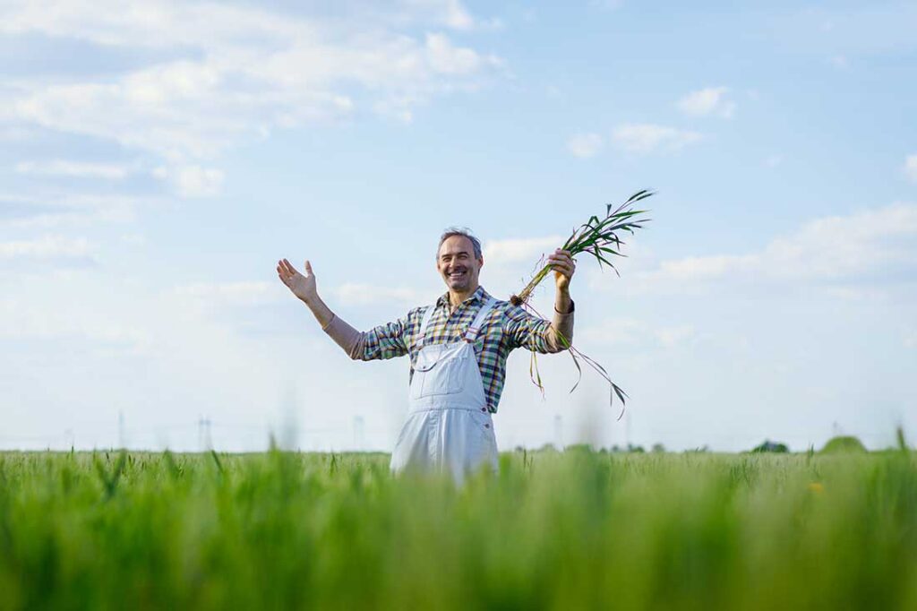 Kako početi s regenerativnom poljoprivredom