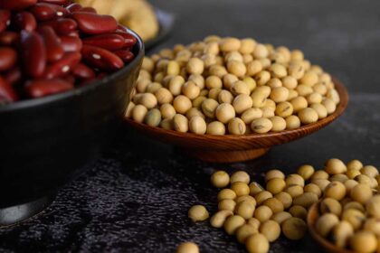 EU Protein Gap