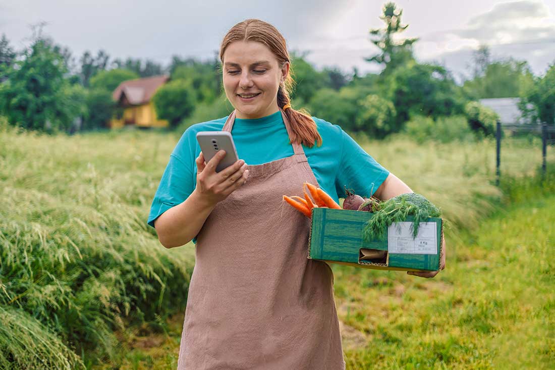 Digitalne navike kupovine u BiH