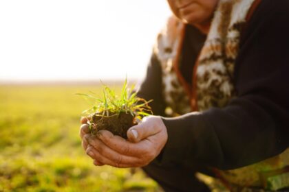 Regenerativna poljoprivreda za male proizvođače u BiH